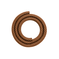 Laziza - Silikonschlauch Carbon LC241-1 - Gold